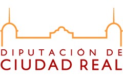 Conseil provincial de Ciudad Real