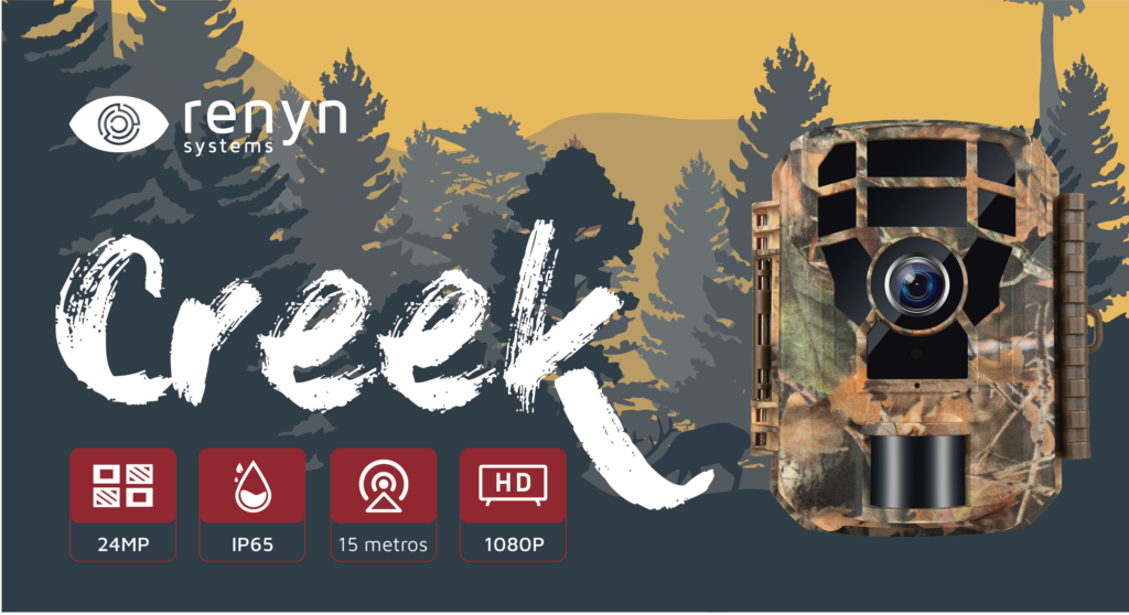 Creek