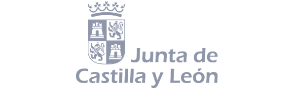 Junta de Castilla y León